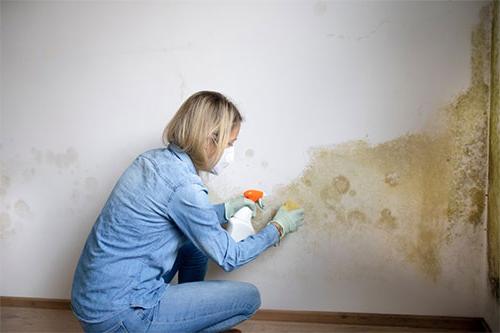 一位女士正在清理墙上的霉菌